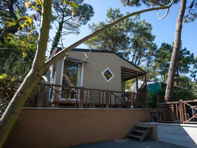 chalet - La Siesta photo 9