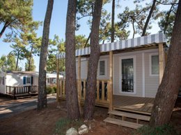Camping Pas Cher vous présente avec son site Officiel campingpascher.fr, le Camping La Siesta classé 4 étoiles, situé sur la commune de La Faute Sur Mer dans le département Vendée (Pays De La Loire) en France. Le camping La Siesta, vous présente un hébergement de type mobil-home de 23 m². Le camping La Siesta vous propose du sam. 29 août au sam. 05 septembre 2026 pour 7 nuits à 180€. Cette location propose 84 dates différentes pour réserver votre séjour. Découvrez également les 17 autres gammes d'hébergements du camping. Les Avis clients pour le Camping La Siesta sont excellents avec une note moyenne de 8 sur 10. Parc aquatique, Piscine couverte, Piscine extérieure, Animations familiales, Club enfants, Aire de jeux enfants, Baby-foot, Centre équestre, Court de tennis, Golf, Ping-pong, Piscine, Pétanque, Salle de jeux vidéo, Terrain multisports, Bar, Dépôt de pain, Snack/Bar,... En savoir plus : cliquez-ICI.