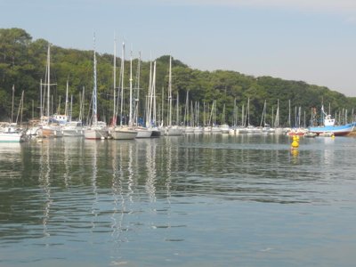 Cliquez pour découvrir toutes les photos de l'ÉTABLISSEMENT ! camping Du Moulin De Cantizac photo 29