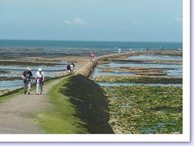 Cliquez pour découvrir toutes les photos de l'ÉTABLISSEMENT ! camping Les Pérouses Du Phare photo 15