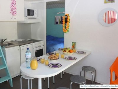 chalet - Le Bois Fleuri photo 5
