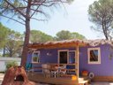 Camping Pas Cher vous présente avec son site Officiel campingpascher.fr, le Camping Montana Parc - Oasis Village - Coeur De L'estérel classé 5 étoiles, situé sur la commune de Puget Sur Argens dans le département Var (Provence Alpes Côte D'azur) en France. Le camping Montana Parc - Oasis Village - Coeur De L'estérel, vous présente un hébergement de type bungalow de 35 m² avec climatisation et télévision. Le camping Montana Parc - Oasis Village - Coeur De L'estérel vous proposeun séjour PAS CHER avec une REMISEdu sam. 02 mai au sam. 09 mai 2026, en promotion à -40% pour 7 nuits à 389 € au lieu de 649,0 € soit une Économie de 260 €. Cette location propose 18 dates différentes pour réserver votre séjour. Découvrez également les 7 autres gammes d'hébergements du camping. Les Avis clients pour le Camping Montana Parc - Oasis Village - Coeur De L'estérel sont excellents avec une note moyenne de 8 sur 10. Parc aquatique, Piscine extérieure, Animations familiales, Club enfants, Aire de jeux enfants, Centre équestre, Court de padel en extérieur, Court de tennis, Golf, Parcours sportif, Ping-pong, Pétanque, Randonnée, Salle de fitness, Terrain de beach-volley, Terrain de football, Terrain multisports, Bar, Dépôt de pain, Plats à emporter, Restaurant, Snack/Bar, Épicerie,... En savoir plus : cliquez-ICI.