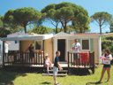 Camping Pas Cher vous présente avec son site Officiel campingpascher.fr, le Camping Montana Parc - Gassin - Golfe De St Tropez classé 4 étoiles, situé sur la commune de Gassin dans le département Var (Provence Alpes Côte D'azur) en France. Le camping Montana Parc - Gassin - Golfe De St Tropez, vous présente un hébergement de type bungalow de 28 m² avec climatisation. Le camping Montana Parc - Gassin - Golfe De St Tropez vous proposeun séjour PAS CHER avec une REMISEdu sam. 02 mai au sam. 09 mai 2026, en promotion à -30% pour 7 nuits à 379 € au lieu de 549,0 € soit une Économie de 170 €. Cette location propose 19 dates différentes pour réserver votre séjour. Découvrez également les 8 autres gammes d'hébergements du camping. Les Avis clients pour le Camping Montana Parc - Gassin - Golfe De St Tropez sont excellents avec une note moyenne de 8 sur 10. Piscine extérieure, Animations familiales, Club ados, Club enfants, Aire de jeux enfants, Canoë-kayak, Centre équestre, Court de tennis, Golf, Parcours sportif, Ping-pong, Plongée, Pétanque, Randonnée, Terrain multisports, Bar, Dépôt de pain, Plats à emporter, Restaurant, Snack/Bar, Épicerie,... En savoir plus : cliquez-ICI.