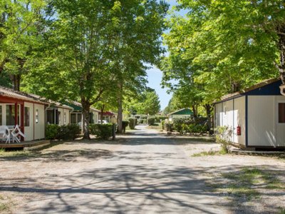 Cliquez pour découvrir toutes les photos de l'ÉTABLISSEMENT ! camping Maeva Escapades Les Bö-Bains photo 21