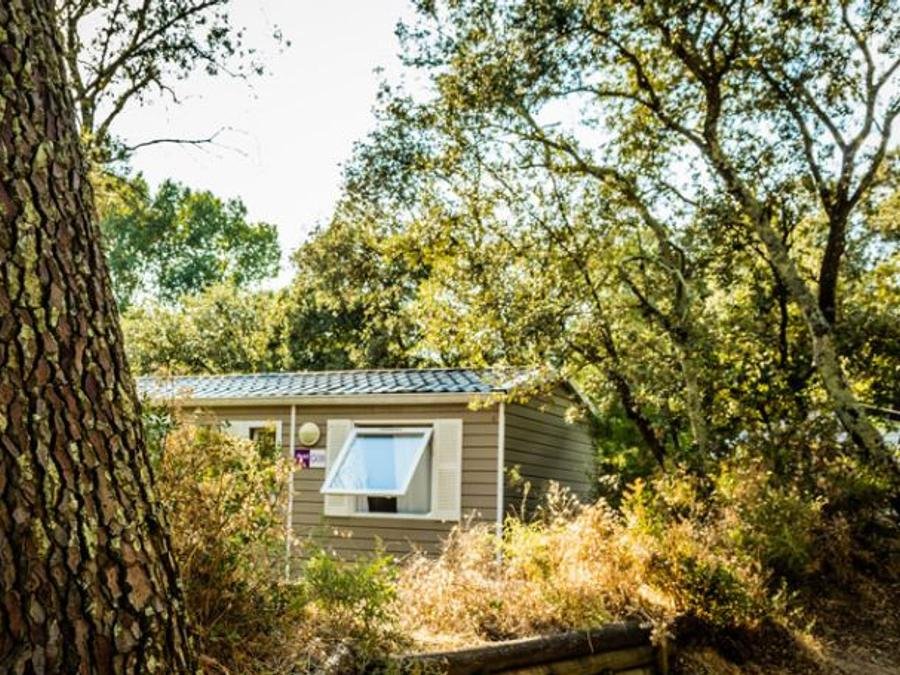 Camping Pas Cher vous présente avec son site Officiel campingpascher.fr, le Camping La Sousta classé 4 étoiles, situé sur la commune de Remoulins dans le département Gard (Languedoc Roussillon) en France. Le camping La Sousta vous propose un hébergement de type mobil-home de 31 m² pour 6 personnes avec climatisation. L'établissement vous propose 5 autres types d'hébergements. Découvrez tous nos séjours à petits prix dans la commune et aux alentours de Remoulins du département : Gard (Languedoc Roussillon). Les Avis clients pour le Camping La Sousta sont excellents avec une note moyenne de 8 sur 10. Rivière, Piscine extérieure, Animations familiales, Club enfants, Aire de jeux enfants, Canoë-kayak, Centre équestre, Court de tennis, Cyclisme, Paddle, Parcours sportif, Ping-pong, Pétanque, Randonnée, Structure gonflable enfants, Terrain de badminton, Terrain de basketball, Terrain de football, Terrain de volley-ball, Bar, Bureau de tabac, Créperie, Dépôt de pain, Pizzeria, Plats à emporter, Restaurant, Snack/Bar, Station-service, Supermarché, Épicerie,... En savoir plus : cliquez-ICI.