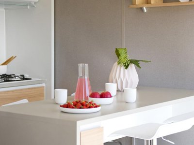 Cliquez pour découvrir toutes les photos de l'HÉBERGEMENT ! mobil-home - La Sousta photo 4