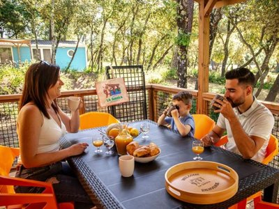Cliquez pour découvrir toutes les photos de l'HÉBERGEMENT ! mobil-home - La Sousta photo 3