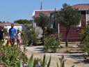 Cliquez pour découvrir toutes les photos de l'HÉBERGEMENT ! mobil-home - camping Le Mas Des Lavandes photo 4