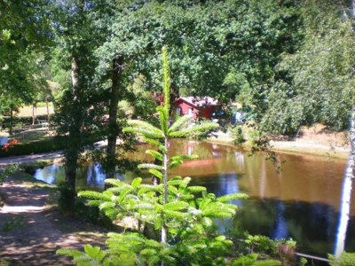 camping La Ripole photo 15