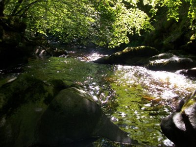 camping La Ripole photo 23