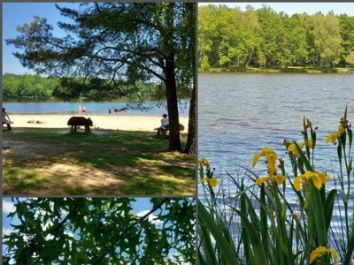 camping La Ripole photo 6