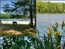 camping La Ripole photo 6