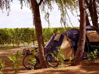 Cliquez pour découvrir toutes les photos de l'ÉTABLISSEMENT ! camping Le Pressoir photo 17