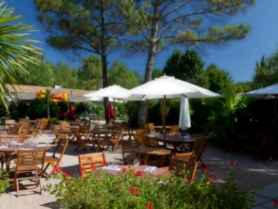 Cliquez pour découvrir toutes les photos de l'ÉTABLISSEMENT ! camping Le Pressoir photo 20