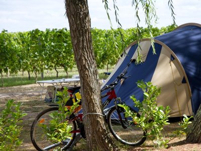 Cliquez pour découvrir toutes les photos de l'ÉTABLISSEMENT ! camping Le Pressoir photo 22