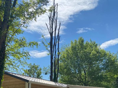 Cliquez pour découvrir toutes les photos de l'ÉTABLISSEMENT ! camping Le Pressoir photo 30