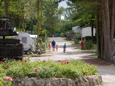 Cliquez pour découvrir toutes les photos de l'ÉTABLISSEMENT ! camping Le Pressoir photo 8