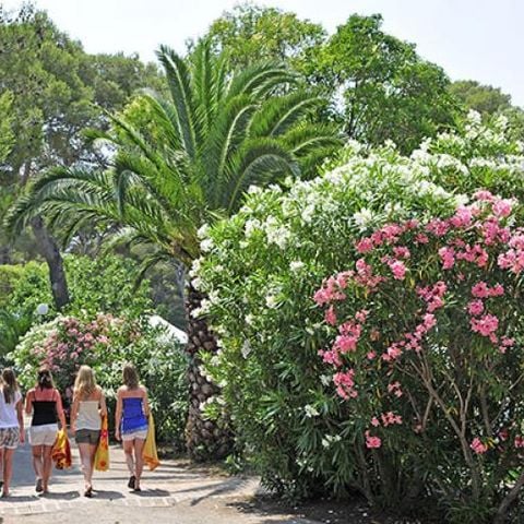Cliquez pour découvrir toutes les photos de l'ÉTABLISSEMENT ! établissement Yelloh Village La Plage Du Dramont photo 5