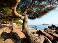 Cliquez pour découvrir toutes les photos de l'ÉTABLISSEMENT ! établissement Yelloh Village La Plage Du Dramont photo 4