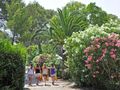 Cliquez pour découvrir toutes les photos de l'ÉTABLISSEMENT ! établissement Yelloh Village La Plage Du Dramont photo 5