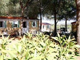 Camping Pas Cher vous présente avec son site Officiel campingpascher.fr, la Résidence Odalys La Pinède classé 3 étoiles, située sur la commune de Agde dans le département Hérault (Languedoc Roussillon) en France. La résidence Odalys La Pinède, vous présente un hébergement de type mobil-home de 27 m² et télévision. La résidence Odalys La Pinède vous propose du sam. 16 mai au sam. 23 mai 2026 pour 7 nuits à 289€. Cette location propose 22 dates différentes pour réserver votre séjour. Découvrez également les 2 autres gammes d'hébergements de la résidence. Les Avis clients pour la Résidence Odalys La Pinède sont excellents avec une note moyenne de 8 sur 10. Piscine chauffée, Piscine extérieure, Animation ados, Club enfants, Aire de jeux enfants, Canoë-kayak, Centre équestre, Court de tennis, Cyclisme, Golf, Ping-pong, Planche à voile, Plongée, Pétanque, Randonnée, Salle de fitness, Terrain multisports, Voile, kiteSurf, Bar, Créperie, Dépôt de pain, Plats à emporter, Snack/Bar,... En savoir plus : cliquez-ICI.