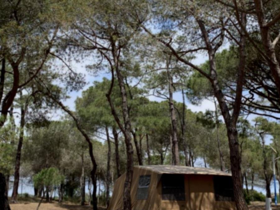 Camping Pas Cher vous présente avec son site Officiel campingpascher.fr, le Camping La Tamarissière classé 4 étoiles, situé sur la commune de Agde dans le département Hérault (Languedoc Roussillon) en France. Le camping La Tamarissière, vous présente un hébergement de type tente de 20 m² pour 4 personnes. Le camping La Tamarissière vous propose du jeudi 04 juin au jeudi 11 juin 2026 avec une PROMO de DERNIÈRE MINUTE, en promotion à -14% pour 7 nuits à 164,90 € au lieu de 194,0 € soit une Économie de 29,10 €. Cette location propose 74 dates différentes pour réserver votre séjour. Découvrez également les 35 autres gammes d'hébergements du camping. Les Avis clients pour le Camping La Tamarissière sont excellents avec une note moyenne de 8 sur 10. Mer, Animations familiales, Club ados, Club enfants, Aire de jeux enfants, Centre équestre, Court de tennis, Cyclisme, Golf, Ping-pong, Plongée, Pétanque, Randonnée, Terrain multisports, Bar, Pizzeria, Snack/Bar,... En savoir plus : cliquez-ICI.