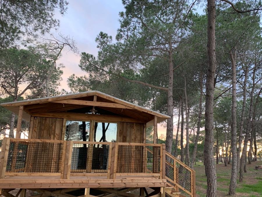 Camping Pas Cher vous présente avec son site Officiel campingpascher.fr, le Camping La Tamarissière classé 4 étoiles, situé sur la commune de Agde dans le département Hérault (Languedoc Roussillon) en France. Le camping La Tamarissière, vous présente un hébergement de type bungalow toilé de 32 m² pour 4 personnes et télévision. Le camping La Tamarissière vous propose du vendredi 19 juin au vendredi 26 juin 2026, en promotion à -10% pour 7 nuits à 491,40 € au lieu de 546,0 € soit une Économie de 54,60 €. Cette location propose 37 dates différentes pour réserver votre séjour. Découvrez également les 35 autres gammes d'hébergements du camping. Les Avis clients pour le Camping La Tamarissière sont de 7 sur 10. Mer, Animations familiales, Club ados, Club enfants, Aire de jeux enfants, Centre équestre, Court de tennis, Cyclisme, Golf, Ping-pong, Plongée, Pétanque, Randonnée, Terrain multisports, Bar, Pizzeria, Snack/Bar, Épicerie,... En savoir plus : cliquez-ICI.