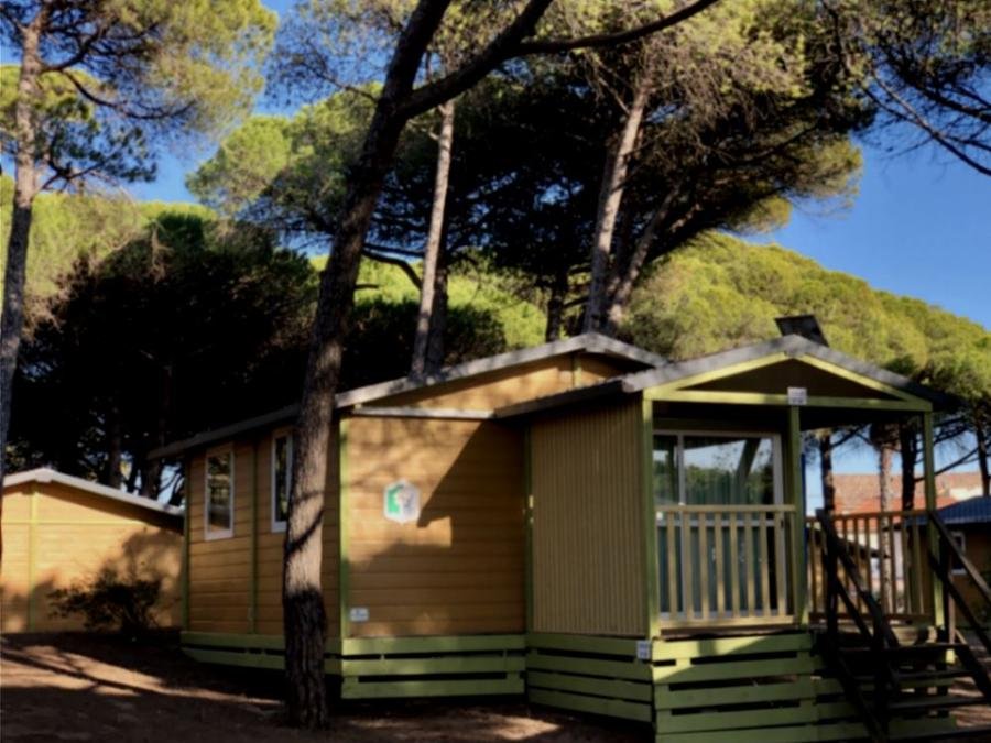 Camping Pas Cher vous présente avec son site Officiel campingpascher.fr, le Camping La Tamarissière classé 4 étoiles, situé sur la commune de Agde dans le département Hérault (Languedoc Roussillon) en France. Le camping La Tamarissière vous propose un hébergement de type chalet de 34 m² pour 2 personnes. L'établissement vous propose 32 autres types d'hébergements. Découvrez tous nos séjours à petits prix dans la commune et aux alentours de Agde du département : Hérault (Languedoc Roussillon). Les Avis clients pour le Camping La Tamarissière sont de 7 sur 10. Mer, Animations familiales, Club ados, Club enfants, Aire de jeux enfants, Centre équestre, Court de tennis, Cyclisme, Golf, Ping-pong, Plongée, Pétanque, Randonnée, Terrain multisports, Bar, Pizzeria, Snack/Bar, Épicerie,... En savoir plus : cliquez-ICI.