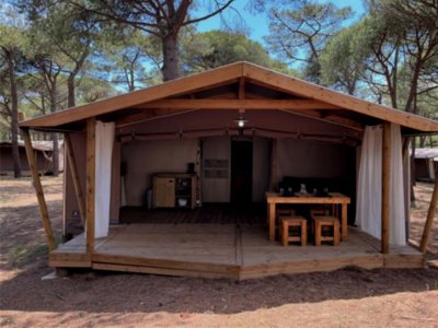 Cliquez pour découvrir toutes les photos de l'HÉBERGEMENT ! lodge - La Tamarissière photo 2