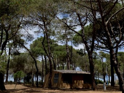 Cliquez pour découvrir toutes les photos de l'HÉBERGEMENT ! tente - La Tamarissière photo 2