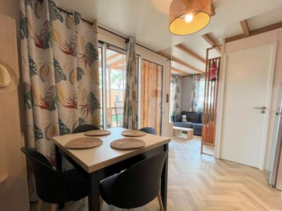 Cliquez pour découvrir toutes les photos de l'HÉBERGEMENT ! mobil-home - La Tamarissière photo 3