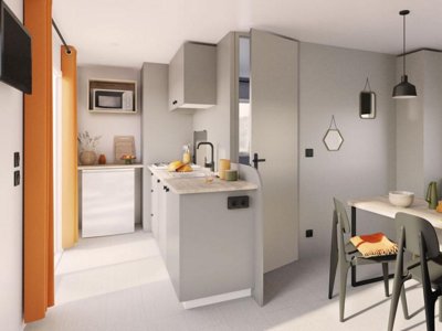 Cliquez pour découvrir toutes les photos de l'HÉBERGEMENT ! mobil-home - La Tamarissière photo 4