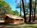 Camping Pas Cher vous présente avec son site Officiel campingpascher.fr, le Camping La Tamarissière classé 4 étoiles, situé sur la commune de Agde dans le département Hérault (Languedoc Roussillon) en France. Le camping La Tamarissière, vous présente un hébergement de type tente en toile et bois de 20 m² pour 4 personnes. Le camping La Tamarissière vous propose du lundi 06 avril au lundi 13 avril 2026 pour 7 nuits à 194€. Cette location propose 93 dates différentes pour réserver votre séjour. Découvrez également les 29 autres gammes d'hébergements du camping. Les Avis clients pour le Camping La Tamarissière sont de 7 sur 10. Mer, Animations familiales, Club ados, Club enfants, Aire de jeux enfants, Centre équestre, Court de tennis, Cyclisme, Golf, Ping-pong, Plongée, Pétanque, Randonnée, Terrain multisports, Bar, Pizzeria, Snack/Bar, Épicerie,... En savoir plus : cliquez-ICI.