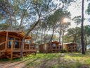 Cliquez pour découvrir toutes les photos de l'HÉBERGEMENT ! bungalow toilé - camping La Tamarissière photo 7