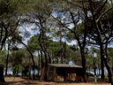 Cliquez pour découvrir toutes les photos de l'HÉBERGEMENT ! tente - camping La Tamarissière photo 2