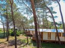 Cliquez pour découvrir toutes les photos de l'ÉTABLISSEMENT ! camping La Tamarissière photo 5