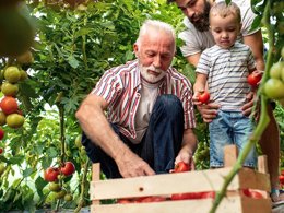 Camping Pas Cher vous présente avec son site Officiel campingpascher.fr, le Camping La Tamarissière classé 4 étoiles, situé sur la commune de Agde dans le département Hérault (Languedoc Roussillon) en France. Le camping La Tamarissière, vous présente un hébergement de type tente en toile et bois de 20 m² pour 4 personnes. Le camping La Tamarissière vous propose du lundi 06 avril au lundi 13 avril 2026 pour 7 nuits à 194€. Cette location propose 93 dates différentes pour réserver votre séjour. Découvrez également les 29 autres gammes d'hébergements du camping. Les Avis clients pour le Camping La Tamarissière sont de 7 sur 10. Mer, Animations familiales, Club ados, Club enfants, Aire de jeux enfants, Centre équestre, Court de tennis, Cyclisme, Golf, Ping-pong, Plongée, Pétanque, Randonnée, Terrain multisports, Bar, Pizzeria, Snack/Bar, Épicerie,... En savoir plus : cliquez-ICI.