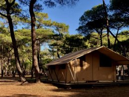 Camping Pas Cher vous présente avec son site Officiel campingpascher.fr, le Camping La Tamarissière classé 4 étoiles, situé sur la commune de Agde dans le département Hérault (Languedoc Roussillon) en France. Le camping La Tamarissière, vous présente un hébergement de type tente en toile et bois de 20 m² pour 4 personnes. Le camping La Tamarissière vous propose du lundi 06 avril au lundi 13 avril 2026 pour 7 nuits à 194€. Cette location propose 93 dates différentes pour réserver votre séjour. Découvrez également les 29 autres gammes d'hébergements du camping. Les Avis clients pour le Camping La Tamarissière sont de 7 sur 10. Mer, Animations familiales, Club ados, Club enfants, Aire de jeux enfants, Centre équestre, Court de tennis, Cyclisme, Golf, Ping-pong, Plongée, Pétanque, Randonnée, Terrain multisports, Bar, Pizzeria, Snack/Bar, Épicerie,... En savoir plus : cliquez-ICI.