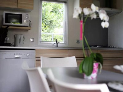 mobil-home - Les Jardins D'Agathe **** photo 3