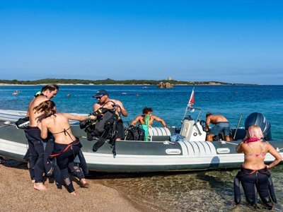 Cliquez pour découvrir toutes les photos de l'ÉTABLISSEMENT ! établissement La Tortuga photo 25