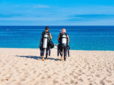 Cliquez pour découvrir toutes les photos de l'ÉTABLISSEMENT ! établissement La Tortuga photo 26