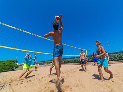 Cliquez pour découvrir toutes les photos de l'ÉTABLISSEMENT ! établissement La Tortuga photo 27