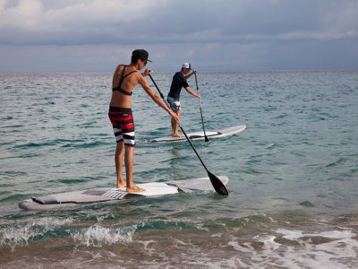Cliquez pour découvrir toutes les photos de l'ÉTABLISSEMENT ! établissement La Tortuga photo 30