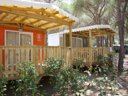Cliquez pour découvrir toutes les photos de l'HÉBERGEMENT ! mobil-home - établissement La Tortuga photo 7