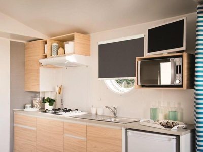 Cliquez pour découvrir toutes les photos de l'HÉBERGEMENT ! mobil-home - La Forêt photo 2