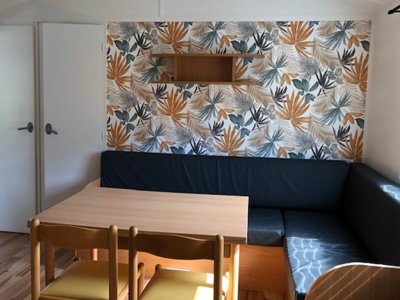 Cliquez pour découvrir toutes les photos de l'HÉBERGEMENT ! mobil-home - La Forêt photo 4