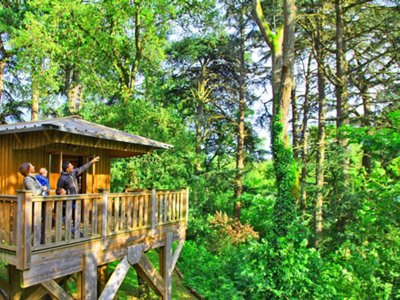 Cliquez pour découvrir toutes les photos de l'HÉBERGEMENT ! hébergement insolite - Albirondack Park Lodge And Spa photo 3