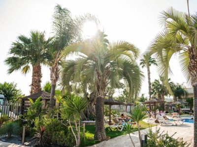 Cliquez pour découvrir toutes les photos de l'ÉTABLISSEMENT ! camping Almafra photo 17
