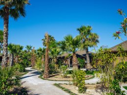 Camping Pas Cher vous présente avec son site Officiel campingpascher.fr, le Camping Alannia Costa Blanca classé 4 étoiles, situé sur la commune de Crevillente dans le département Alicante (Valencia) en Espagne. Le camping Alannia Costa Blanca vous propose un hébergement de type bungalow de 36 m² pour 2 personnes avec climatisation (télévision). L'établissement vous propose 8 autres types d'hébergements. Découvrez tous nos séjours à petits prix dans la commune et aux alentours de Crevillente du département : Alicante (Valencia). Les Avis clients pour le Camping Alannia Costa Blanca sont excellents avec une note moyenne de 8 sur 10. Parc aquatique, Piscine couverte, Piscine extérieure, Animations familiales, Club ados, Club enfants, Aire de jeux enfants, Baby-foot, Court de tennis, Ping-pong, Piscine, Pétanque, Salle de fitness, Salle de jeux vidéo, Terrain de basketball, Terrain de football, Bar, Boulangerie, Plats à emporter, Restaurant, Supermarché,... En savoir plus : cliquez-ICI.