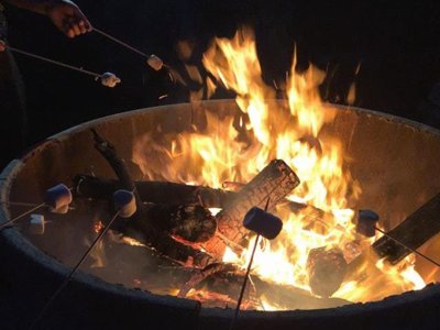 camping Le Grearn photo 10